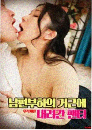 茶单图鉴中熟普与紫砂壶的静物陈列
